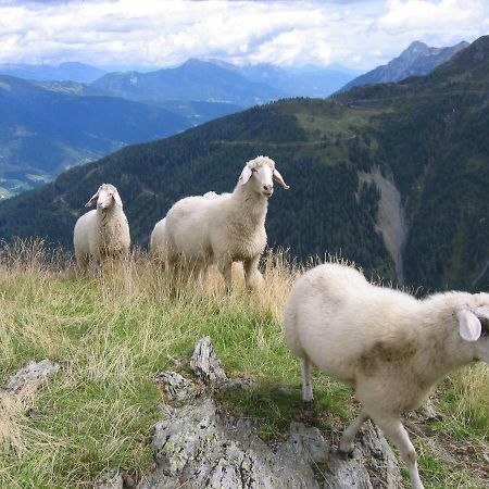 ホテル ペンシオン ヴィルヘルマー Sankt Lorenzen im Lesachtal エクステリア 写真